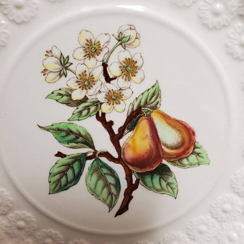 Spode England Small Pear Plate - Picture 5 of 11